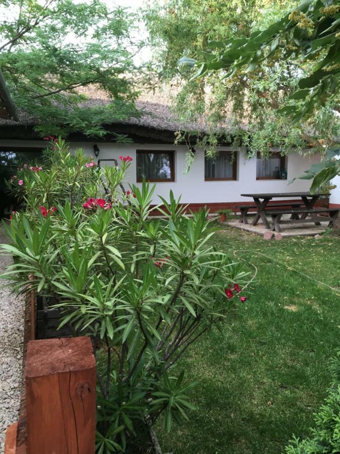 Villa Balatonkenesei Nadfedeles Lovas Vendeghaz Exterior foto