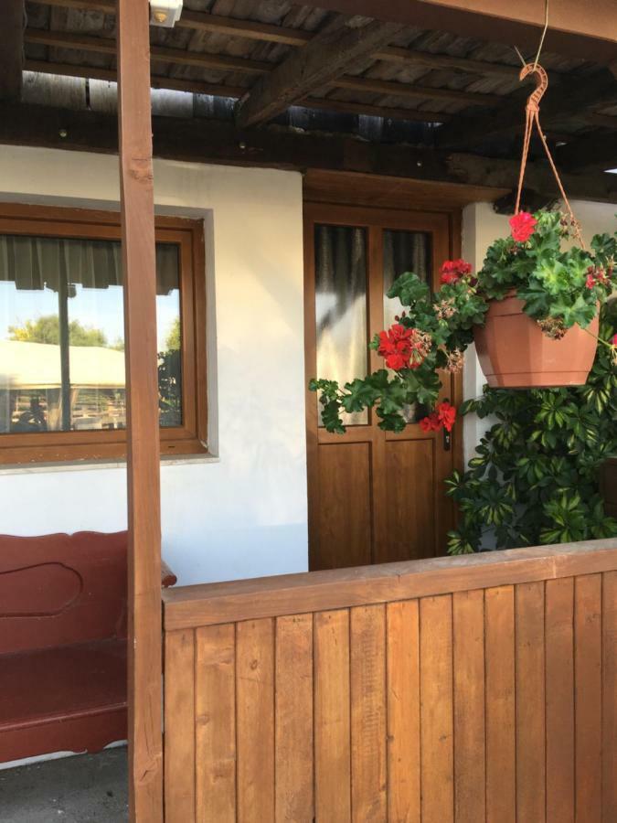 Villa Balatonkenesei Nadfedeles Lovas Vendeghaz Exterior foto