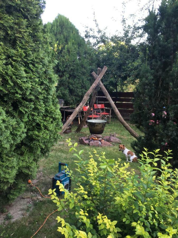 Villa Balatonkenesei Nadfedeles Lovas Vendeghaz Exterior foto