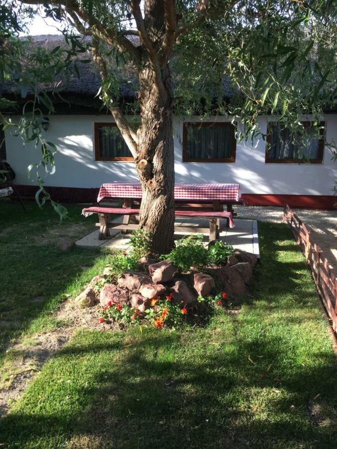 Villa Balatonkenesei Nadfedeles Lovas Vendeghaz Exterior foto