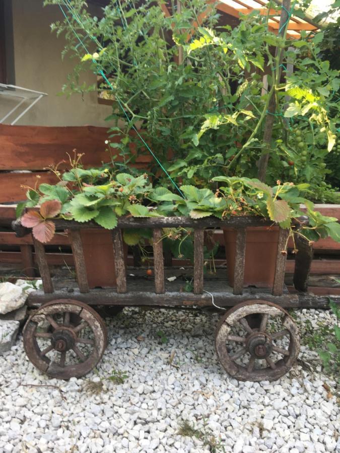 Villa Balatonkenesei Nadfedeles Lovas Vendeghaz Exterior foto